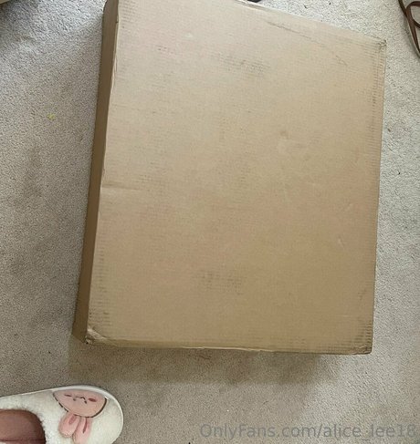 alice lee18 modèle pornographique img