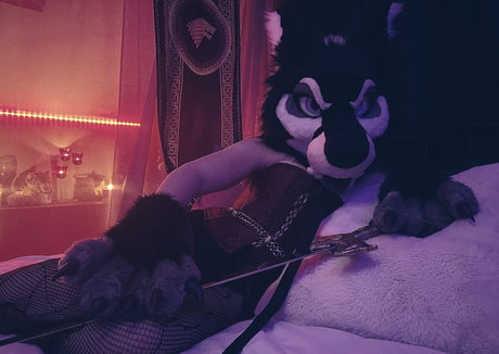 emmawerewuff étoile de haute qualité collection