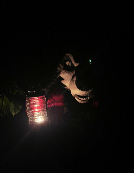 emmawerewuff étoile de l'art archive