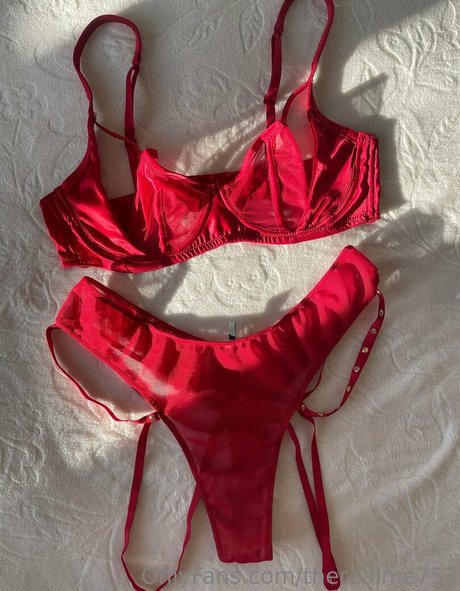 therealme753 haut de star du porno photos