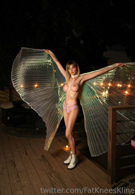 fans en fauteuil roulant uniquement bel adulte collection