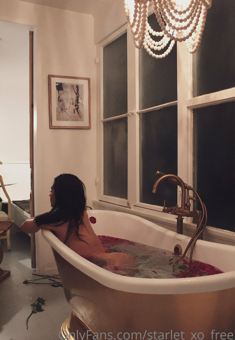 starlet xo free star du sexe photos
