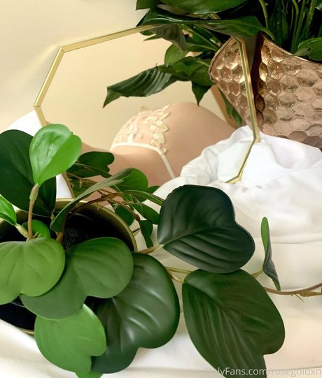 rosegoldxn star pornographique img