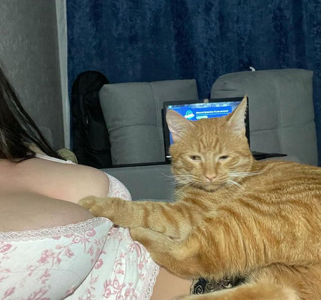 entraînement en salle de sport uniquement pour les fans adulte exclusif archive