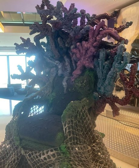 elizabethreed actrice libre archive