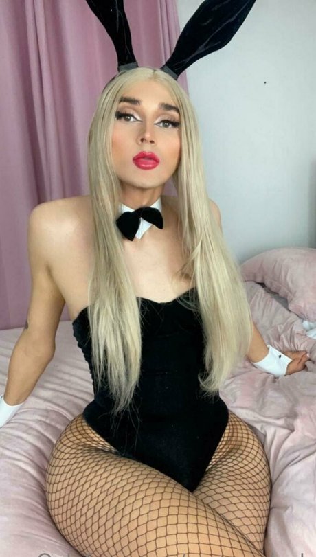 freemreasydeck étoile chaude image