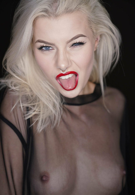 Honeybabesugarpiie étoile parfaite galeries