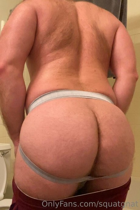 squatgnat modèle meilleur img