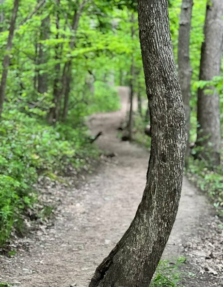 bikini ado onlyfans parfait et sexy images