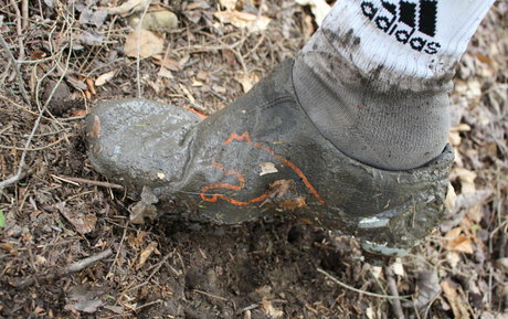 gros butin blanc onlyfans top jolie galerie