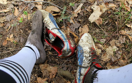 islandermud art star du porno images