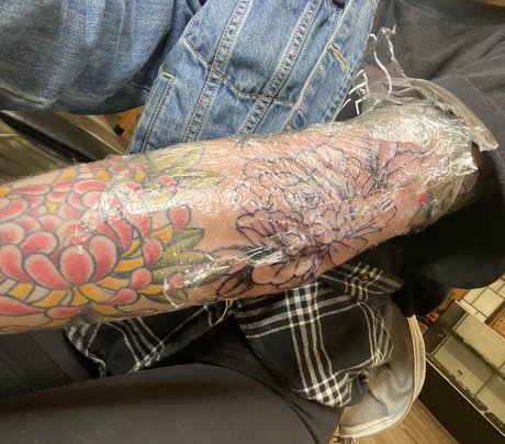 seitansm1stress étoile xxx collection