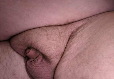 zadyas toybox star du porno gratuite galeries