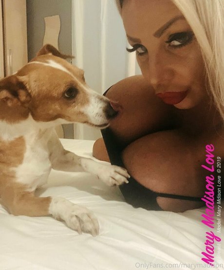 point de vue de rattachement onlyfans pornographique parfait photo