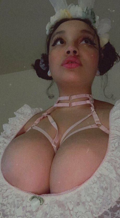 dimpledasssassin art star du porno image