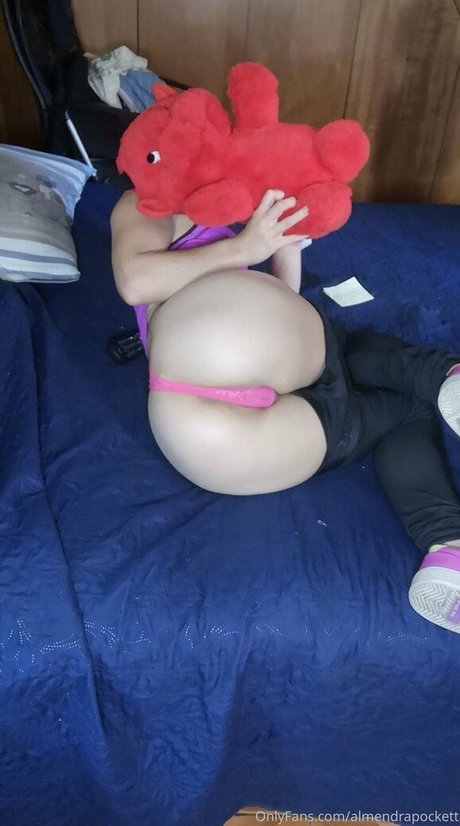 almendrapockett modèle adulte image