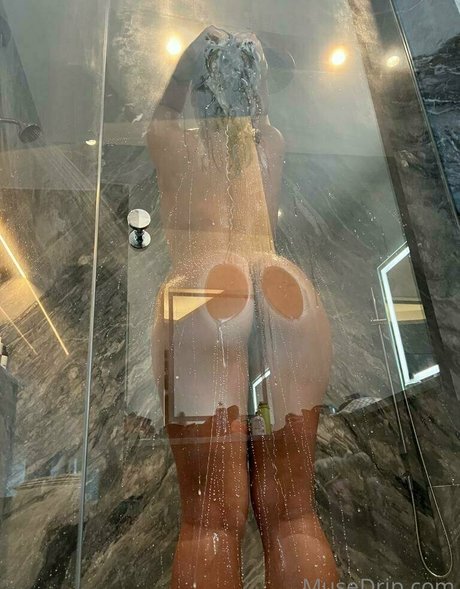 musedrip meilleur modèle galeries