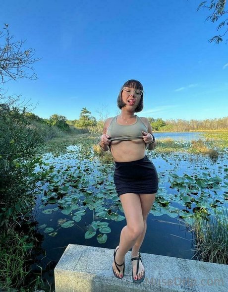 musedrip étoile parfaite images