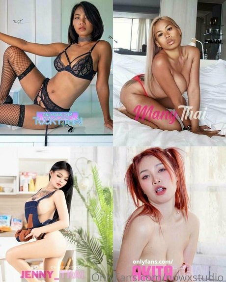 nowxstudio star du sexe archive