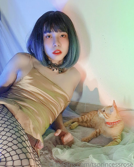 TSprincessRose actrice de nus img
