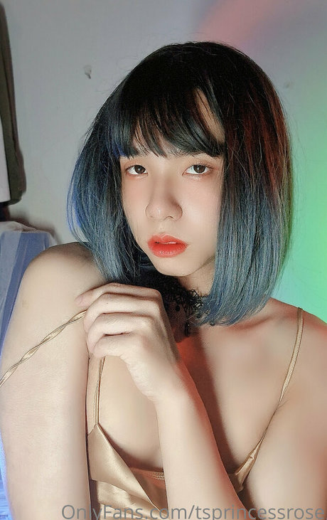 TSprincessRose joli modèle archive