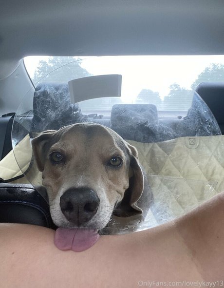 lovelykayyyyy art de star du porno galerie