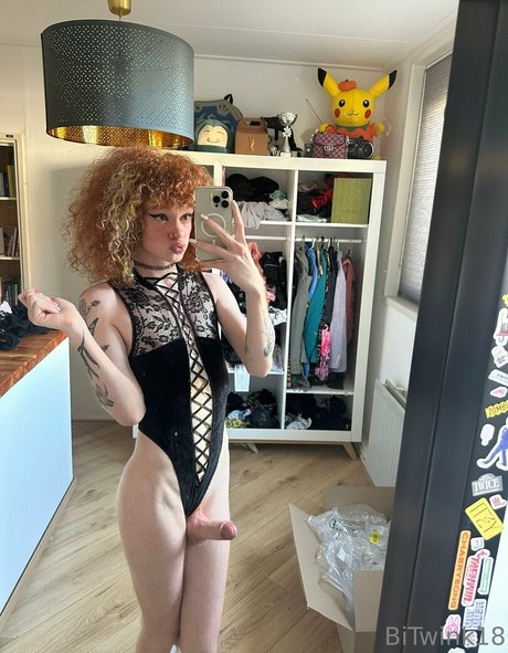 bitwink18 modèle sympa galeries