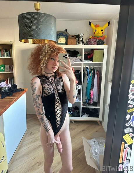 bitwink18 étoile de haute qualité img