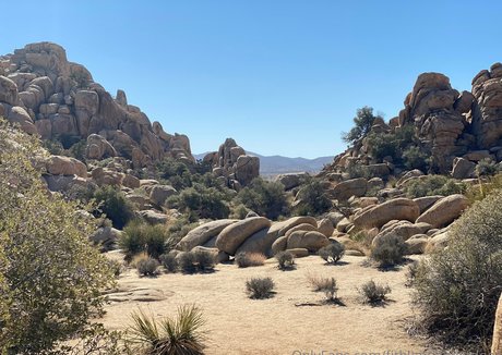 fitblondenextdoor jolie étoile collection