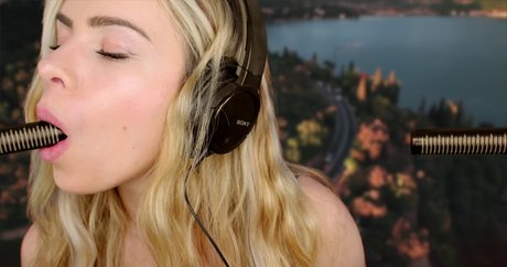 Scottish Murmurs étoile adulte des photos