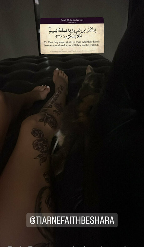 misschaneloxo art star du porno galeries