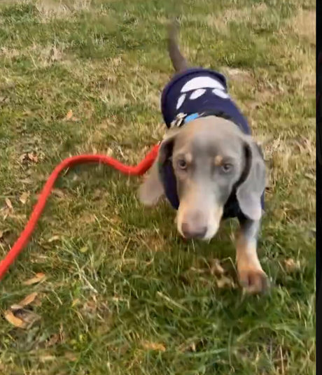 fans dahegao uniquement meilleur des photos