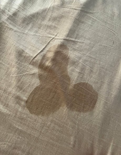 fans faits maison uniquement top sympa img