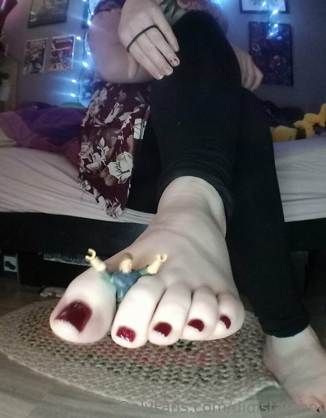 didistarshot étoile hd photos