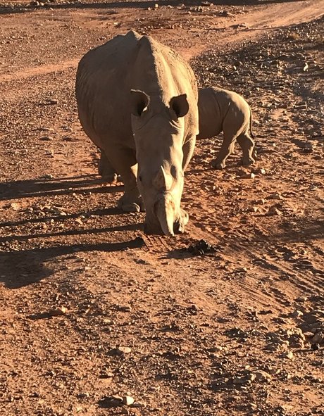 arabes épais onlyfans nue xxx collection