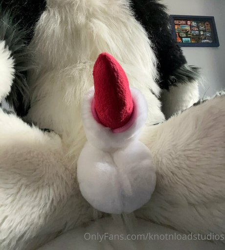 knotnloadstudios star du porno de haute qualité images