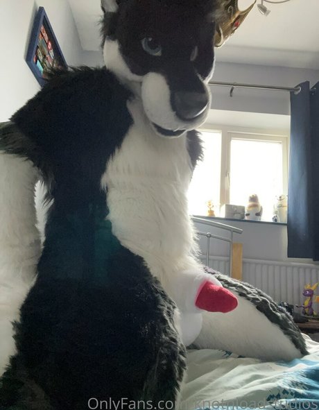 knotnloadstudios actrice libre img