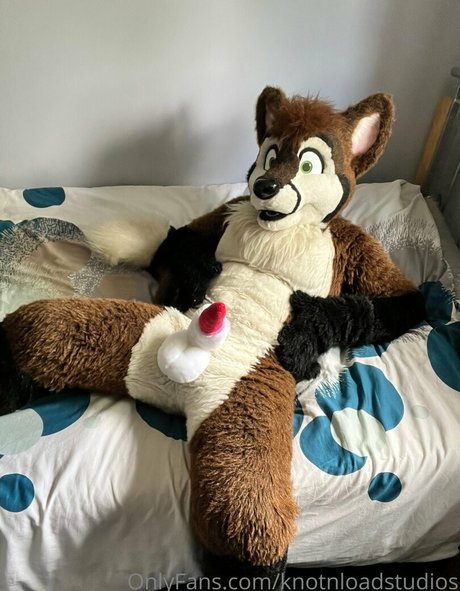 knotnloadstudios modèle érotique img