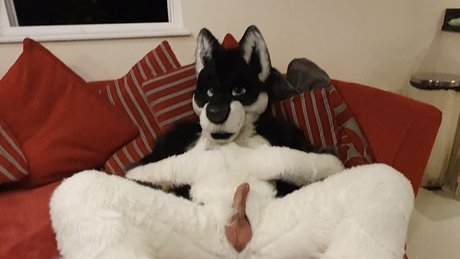 knotnloadstudios nus étoiles img