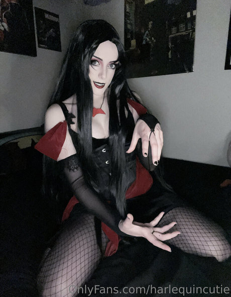 harlequincutie étoile hd photo