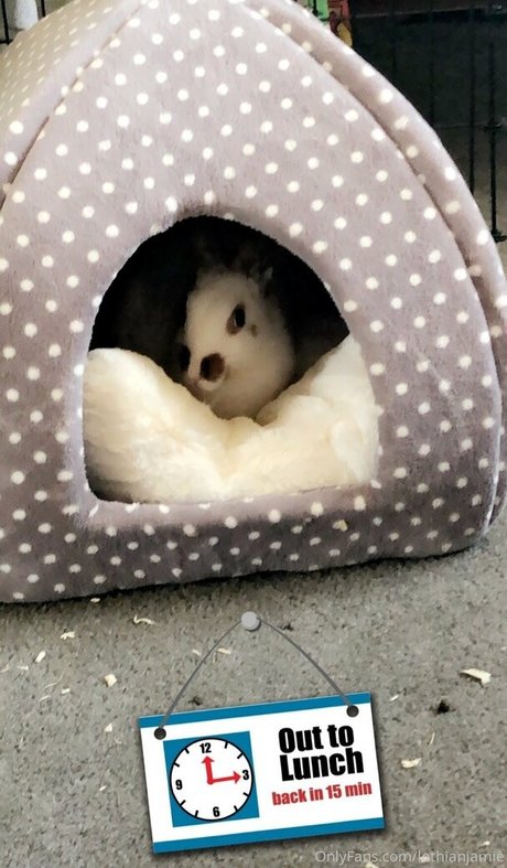 pom-pom girl nue onlyfans nu exclusif photos