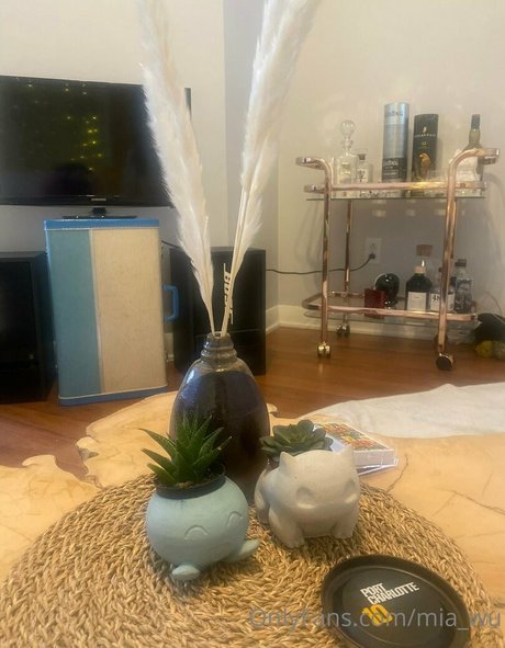 sexe asiatique onlyfans art supérieur photos