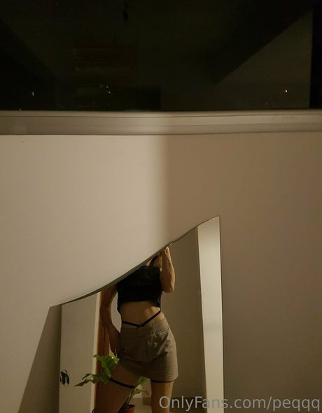 peqqq meilleur modèle galerie