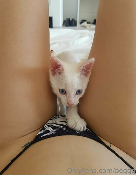 peqqq étoile nue archive