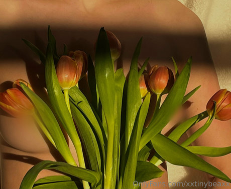 xxtinybeaxx star du porno de haute qualité photos