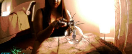 fans dia uniquement meilleure exclusivité collection