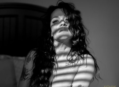 focus boudoir star du porno nue collection