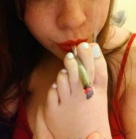 lelannifeets nus étoiles image