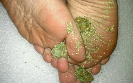 lelannifeets modèle sympa img