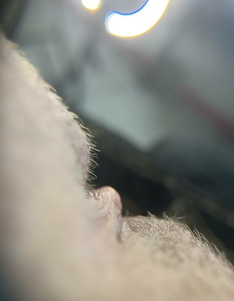 bigbadbee étoile img